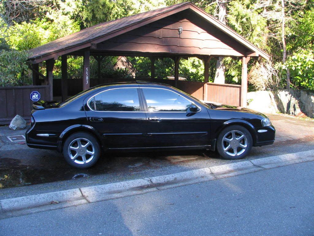 Nissan maxima anniversary edition for sale #7