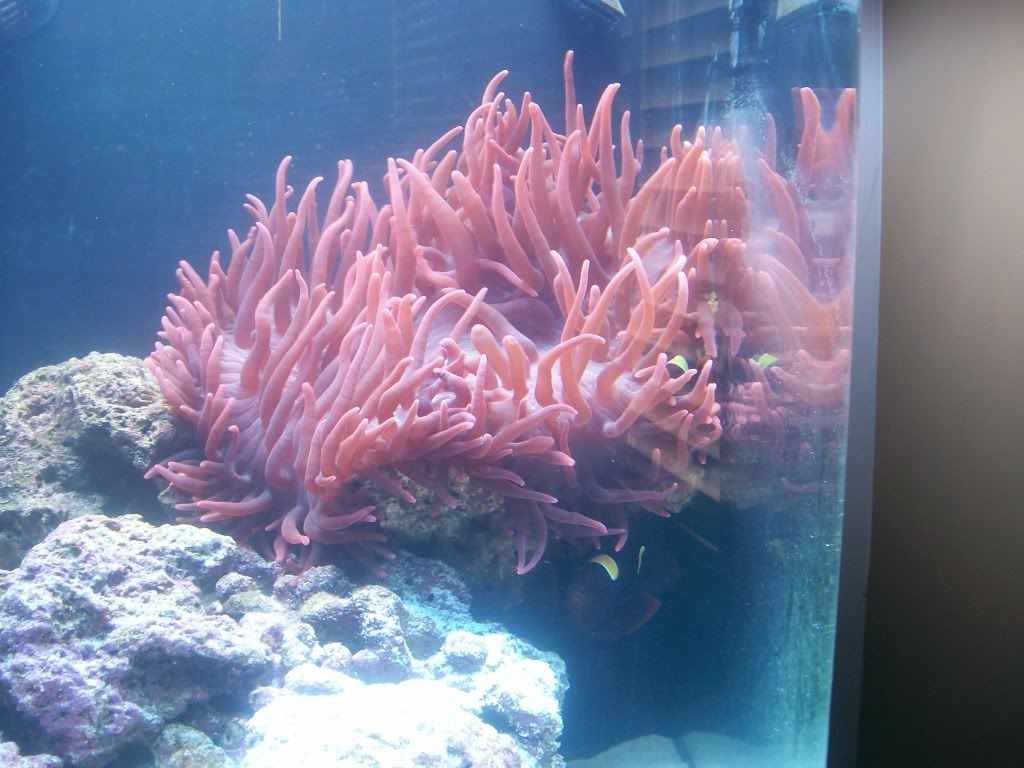 100_1333.jpg