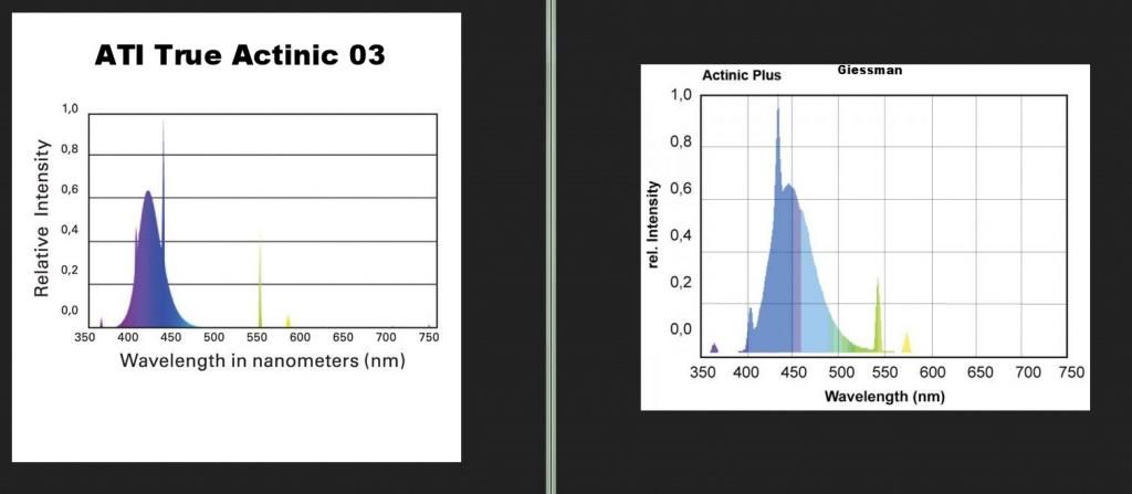 TrueActinic_zps3f601069.jpg