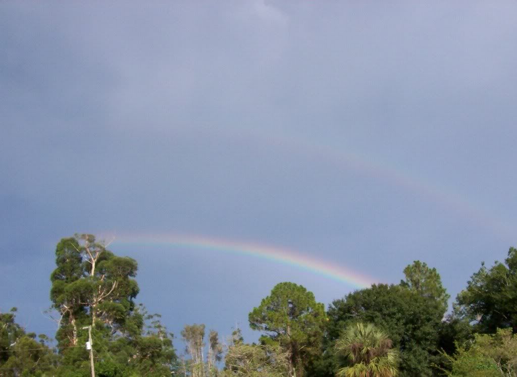 Rainbow, Florida Pictures, Images and Photos