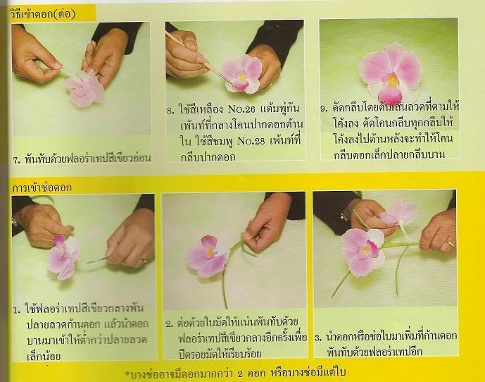 รูปภาพ