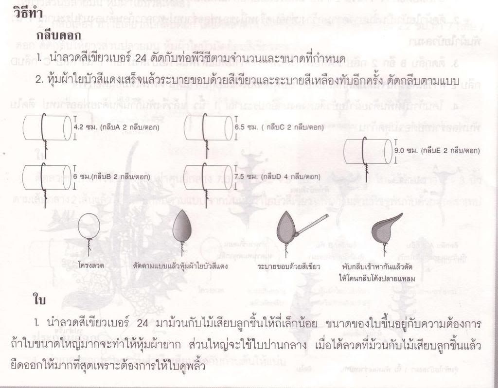 รูปภาพ