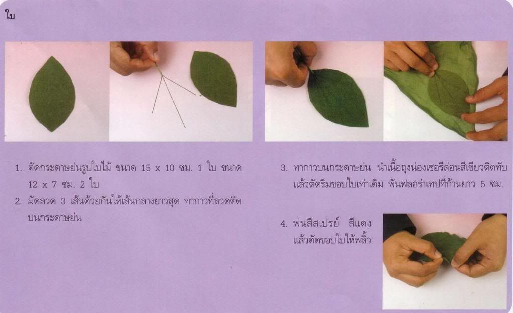 รูปภาพ