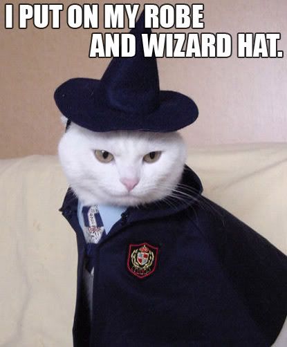 wizard.jpg wizard cat image by PandaMisfit