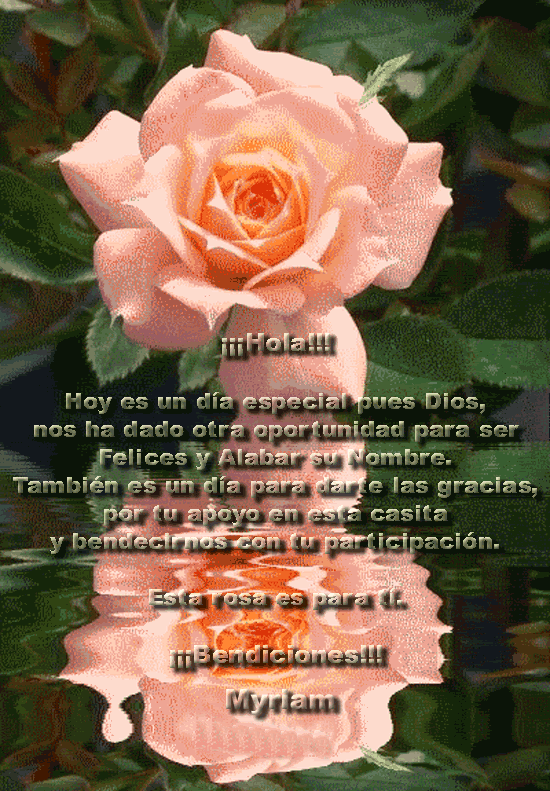 Myriam-Gracias-1.gif picture by lhamya_bucket