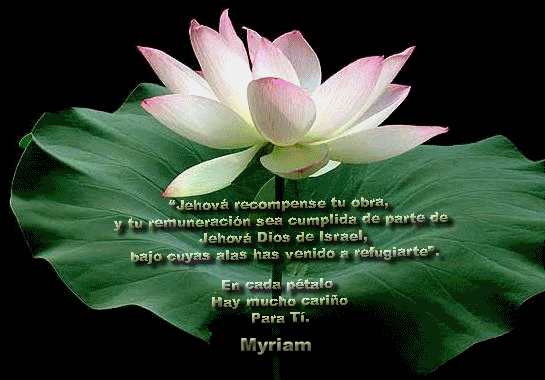 Myriam-Jehova-recompense.gif picture by lhamya_bucket