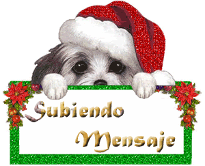 Subiendo-Mensaje.gif picture by lhamya_bucket