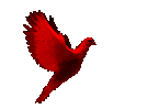 2076.gif