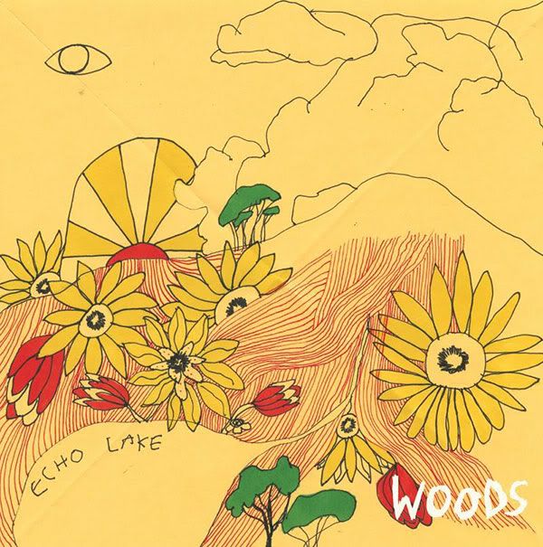 Woods At Echo Lake Cover Art