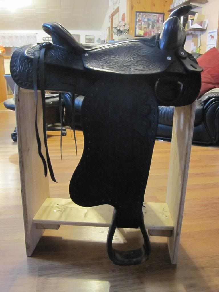 Can you dye a saddle? The Horse Forum