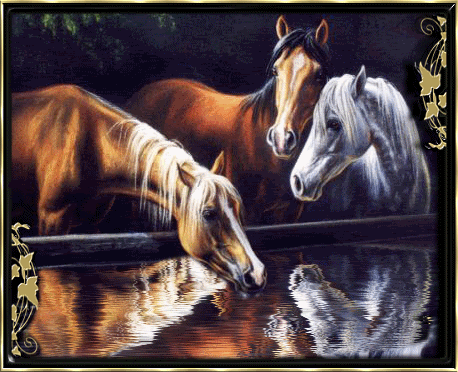 horses-47dm6mwds.gif caballos image by rastapaty25