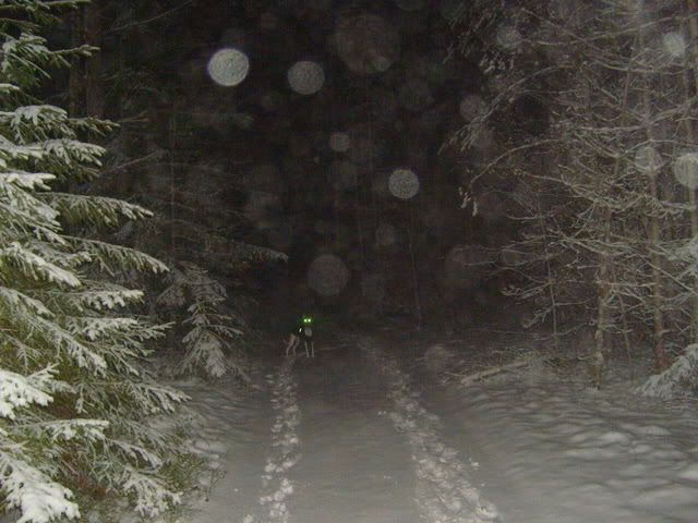 Kuva974.jpg picture by Makumuisto