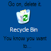 The Recycle Bin