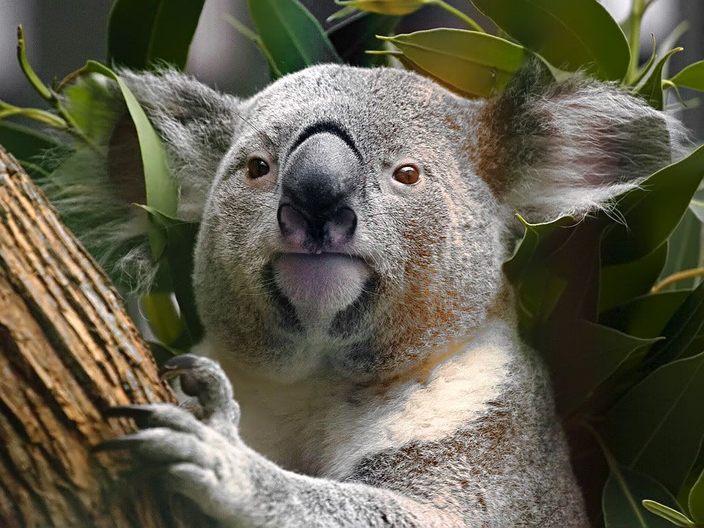 IMAGE: http://i211.photobucket.com/albums/bb213/ViciousVP/Post-Production%20Examples/hold-28.jpg