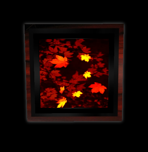 Picture-1.png picture by Temptii