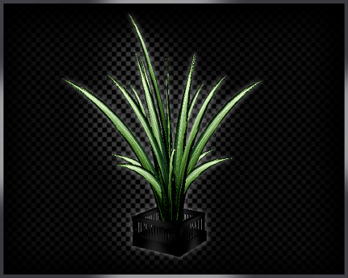 ROYALplant.png picture by Temptii