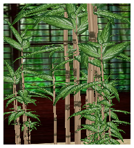 bamboo.png picture by Temptii