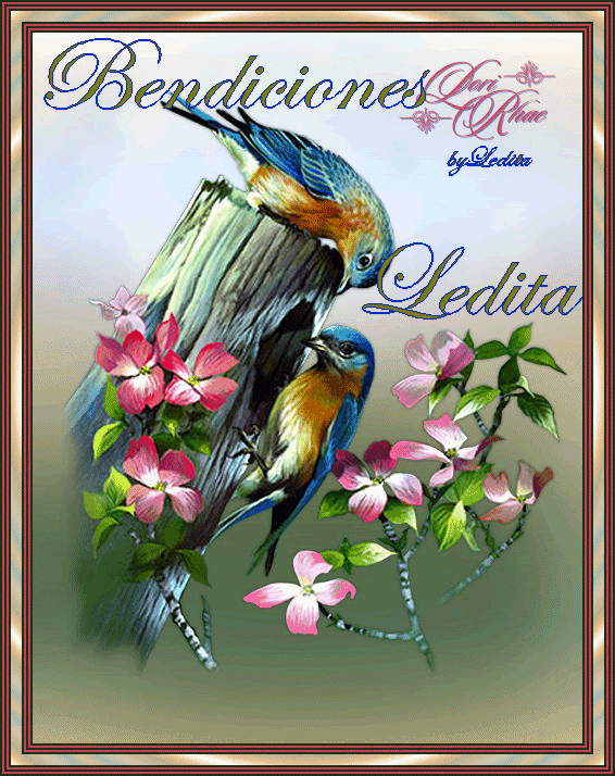 Leditabendiones-aveslpm.gif Ledita%bendicones-aves%LeditaSaurezC%lpm picture by Ledita_Saurez_C