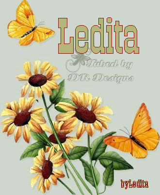 Leditamargaritasmariposaslpm.gif Ledita%margaritasmariposas%LeditaSaurezC%lpm picture by Ledita_Saurez_C