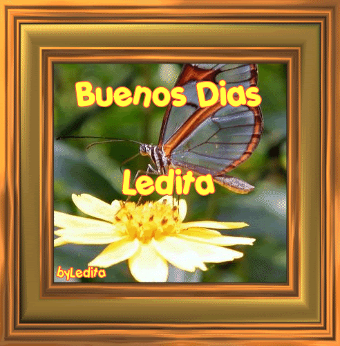 LeidtaBD-MariposaLeditaSaurezClpm.gif picture by Ledita_Saurez_C