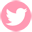  photo twitter.png