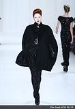 Capes/Capelets & Cloaks on the runway: Autumn(Fall)/Winter 2009-2010