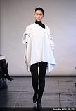 Capes/Capelets & Cloaks on the runway: Autumn(Fall)/Winter 2009-2010