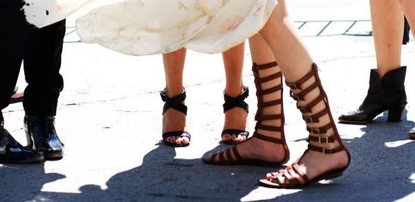 Gladiator Sandals Fashion Shoe Trend