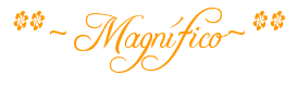 photo 07magnifico.png