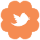 photo clementine_twitter.png