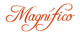 photo magniacutefico.png