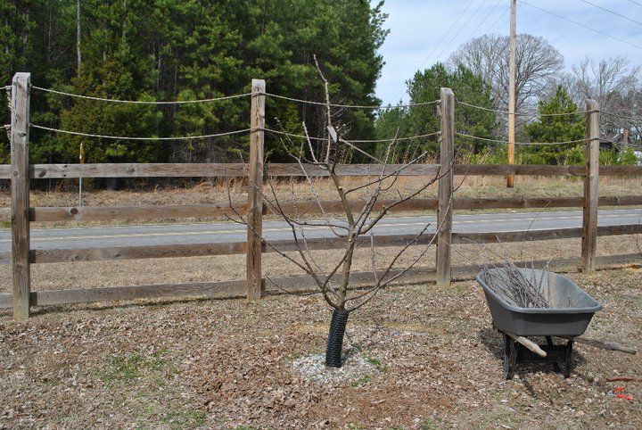  photo 184910_10150102083173527_1710457_n_zps4bb7ddcf.jpg