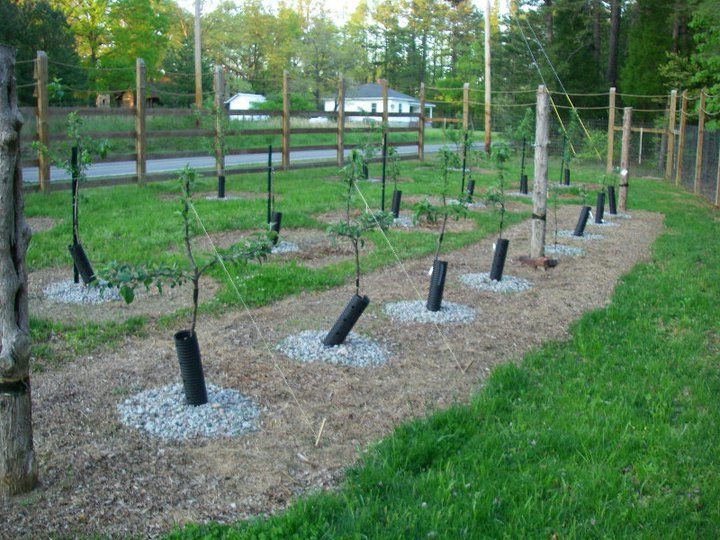  photo 246987_10150213388708527_8314721_n_zps15b8f0db.jpg