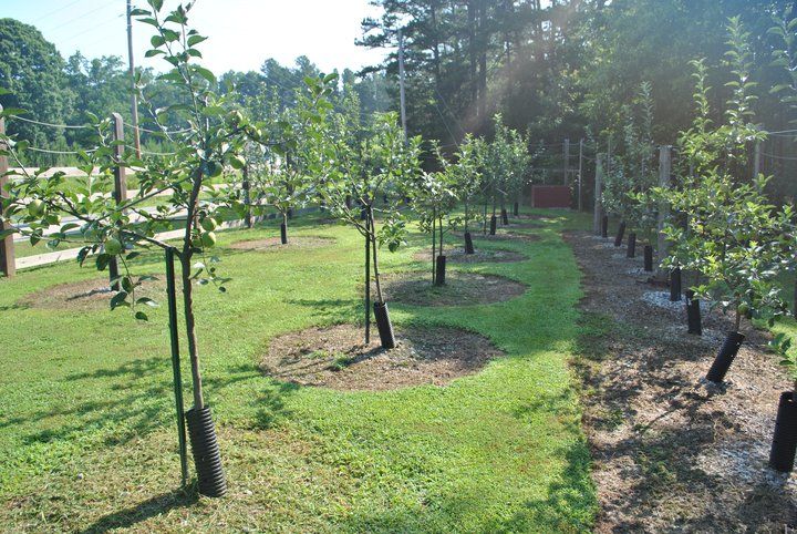  photo 269507_10150238593063527_5170077_n_zpsdec7d3da.jpg