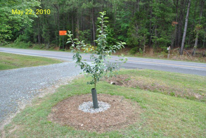  photo 29713_398739288526_446447_n_zps284bcf0e.jpg