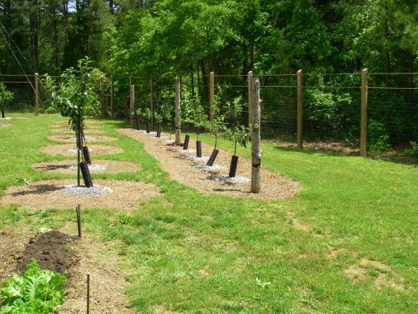  photo 4512_78877328526_7974220_n_zpsdbcabd75.jpg