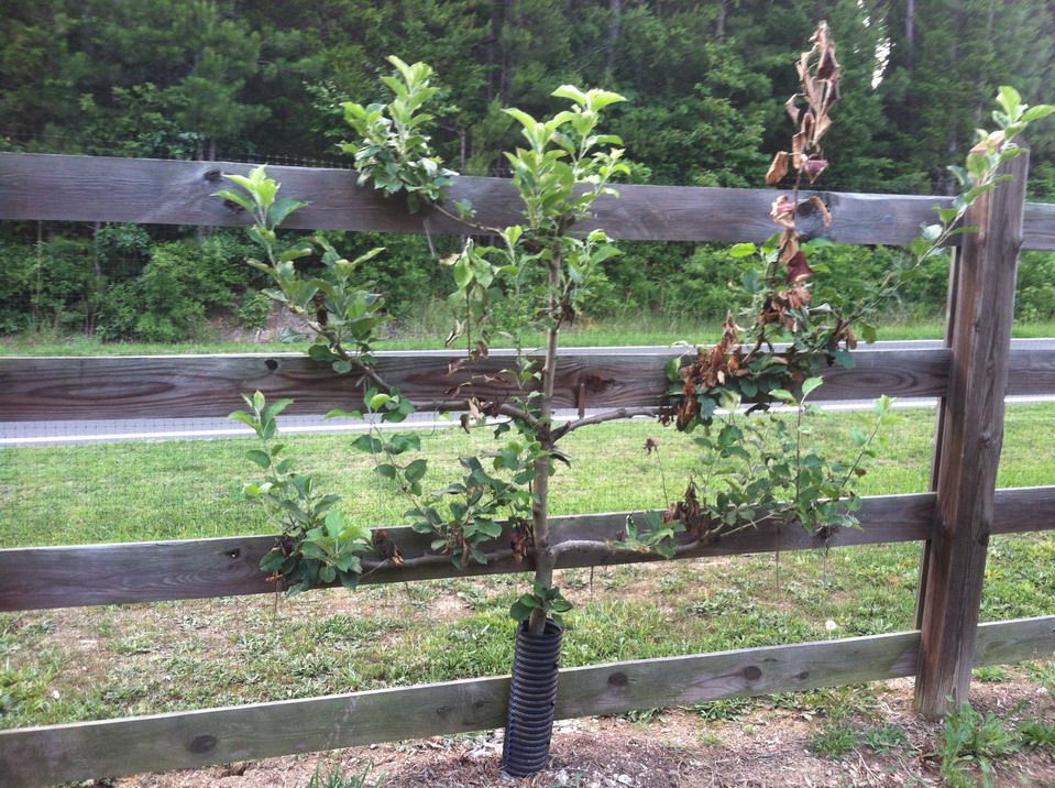  photo IMG_6854_resize_zpsa03b3e0a.jpg