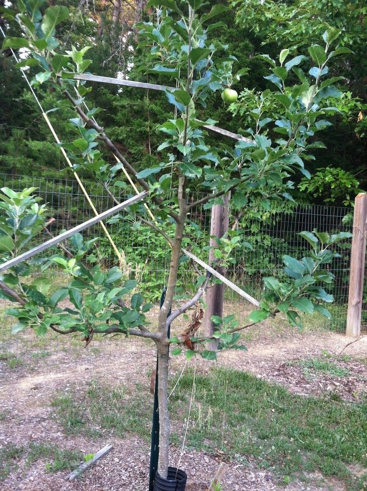  photo IMG_6856_resize_zpsb4e5bca1.jpg