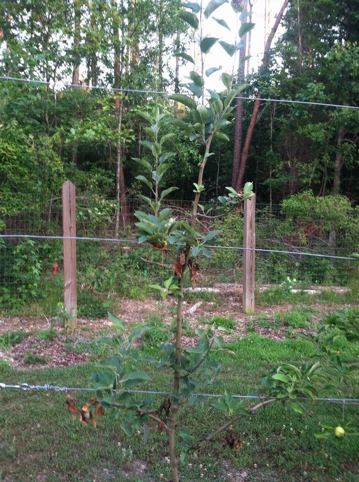  photo IMG_6857_resize_zps35029c5e.jpg