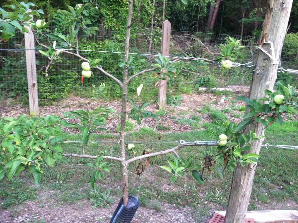  photo IMG_6858_resize_zpsae82a5c9.jpg