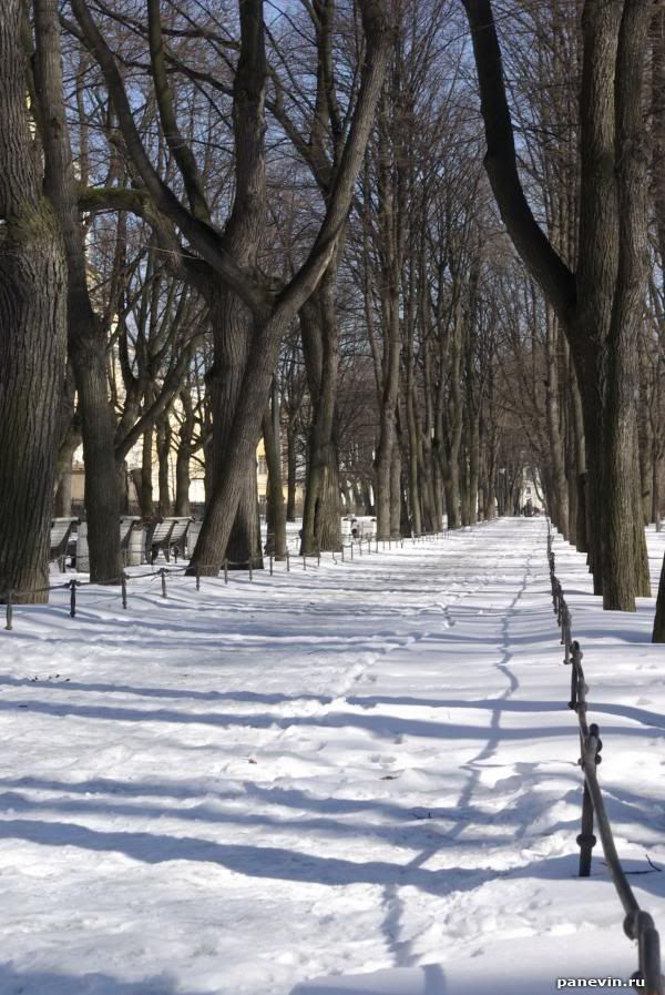 Imagen de Invierno 144