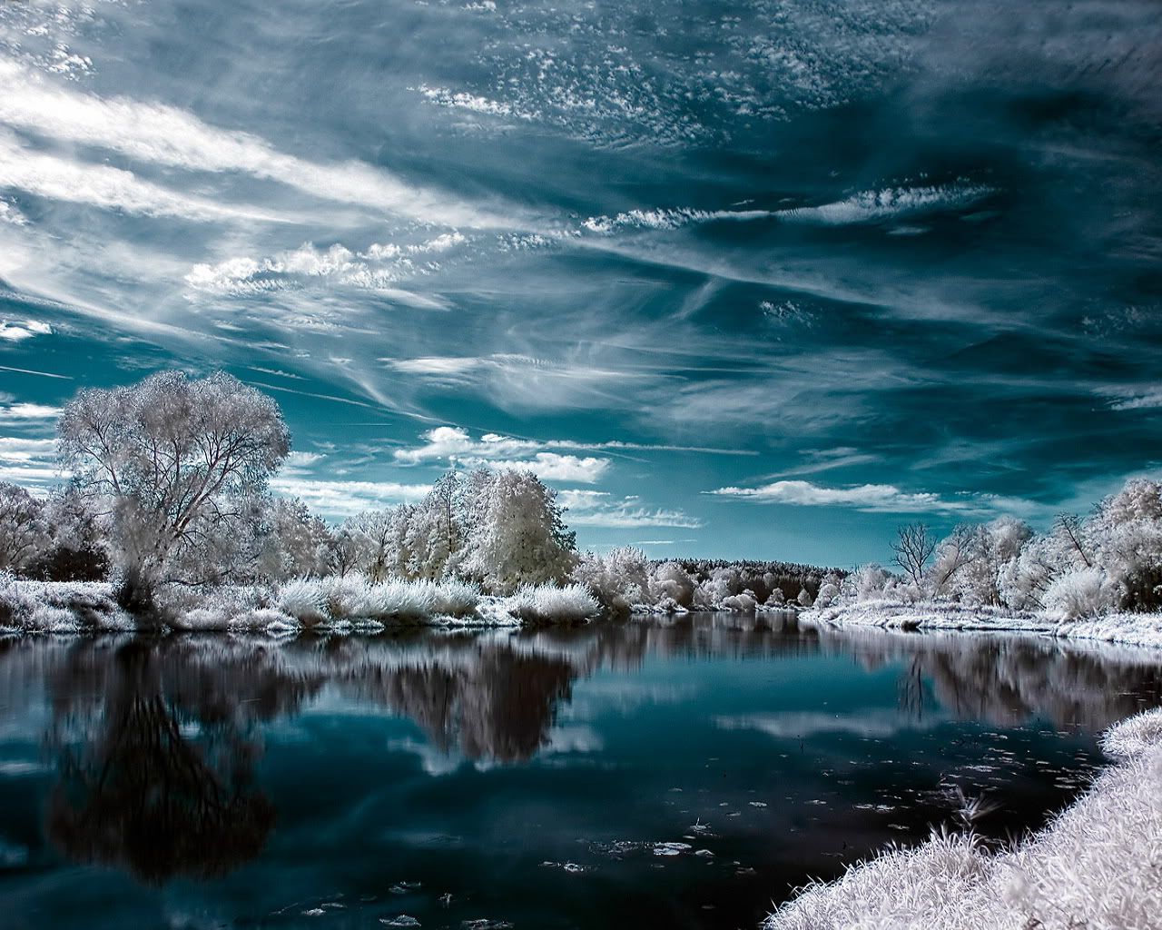 Imagen de Invierno 145