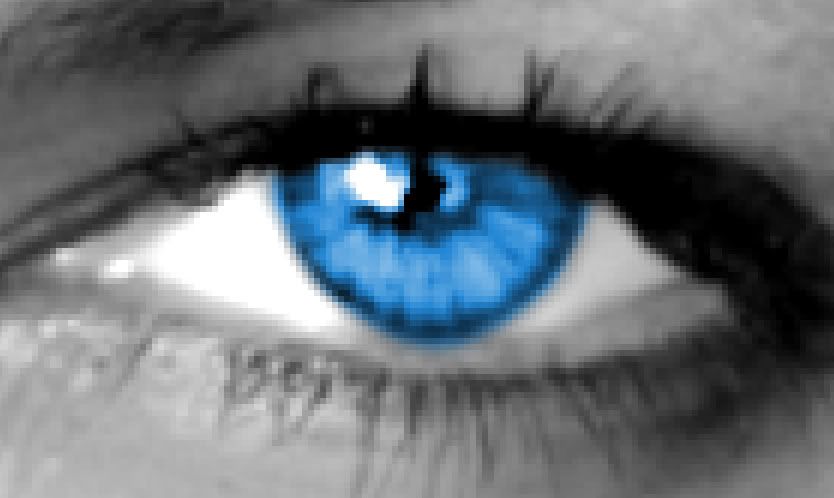 Imagen de Ojos 241