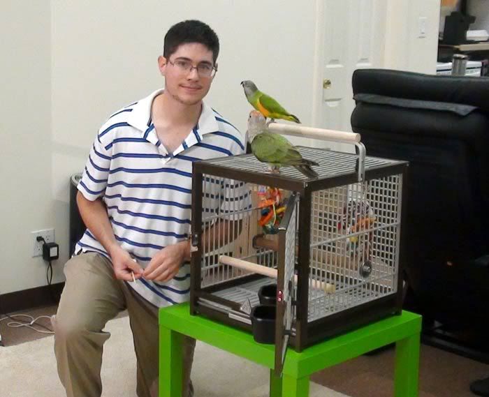 Imagen de Pajaros 38