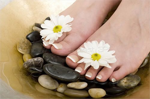 Imagen de Pies 828