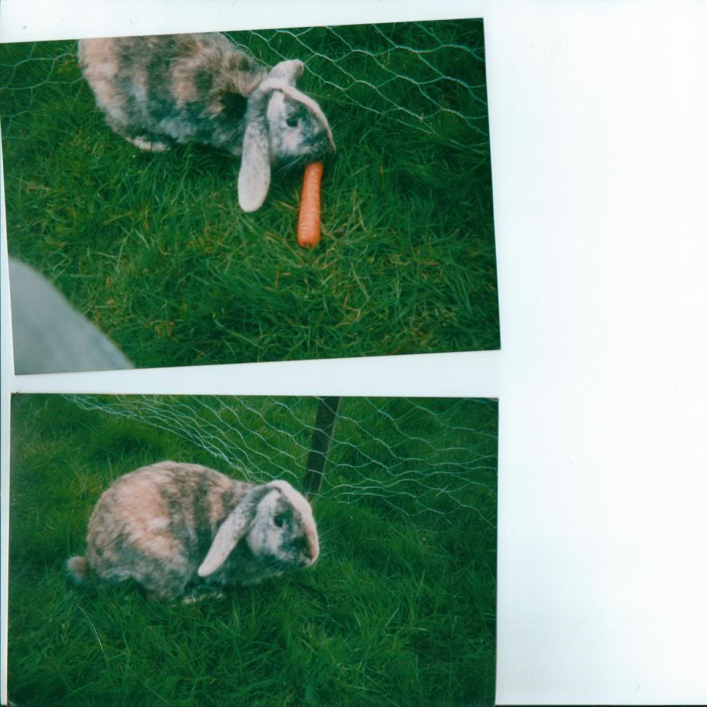Image6.jpg
