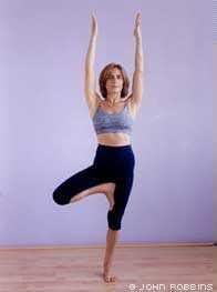 Tree Pose---1 Pictures, Images and Photos