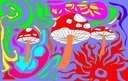 mushrooms Pictures, Images and Photos