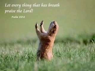 praise the lord! Pictures, Images and Photos