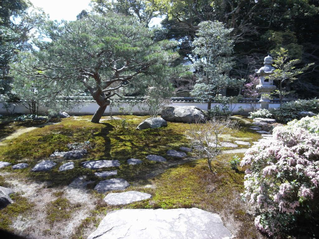 &#27611;&#21033;&#12373;&#12435;&#12398;&#23478;02